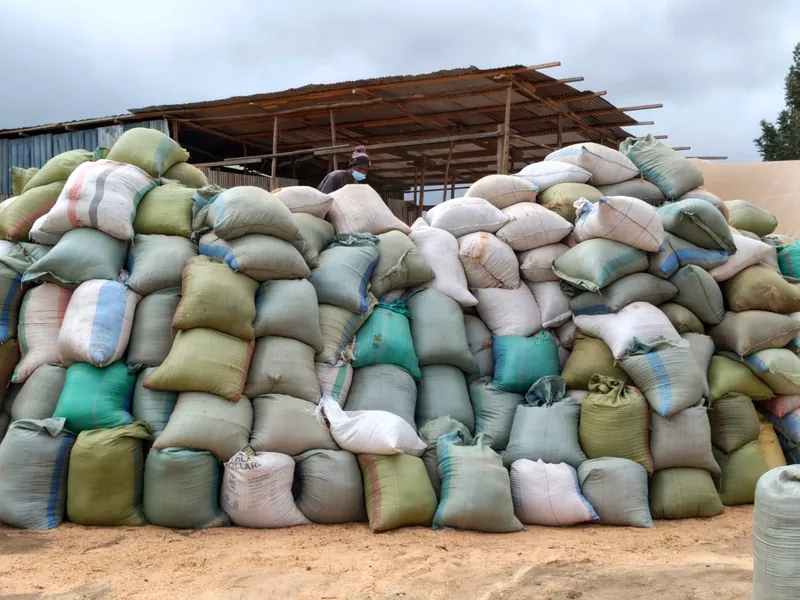 Stockpile of feedstock sacks under the shed