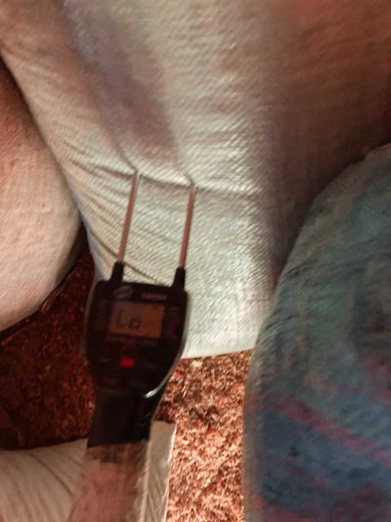 Moisture test on a sack of feedstock