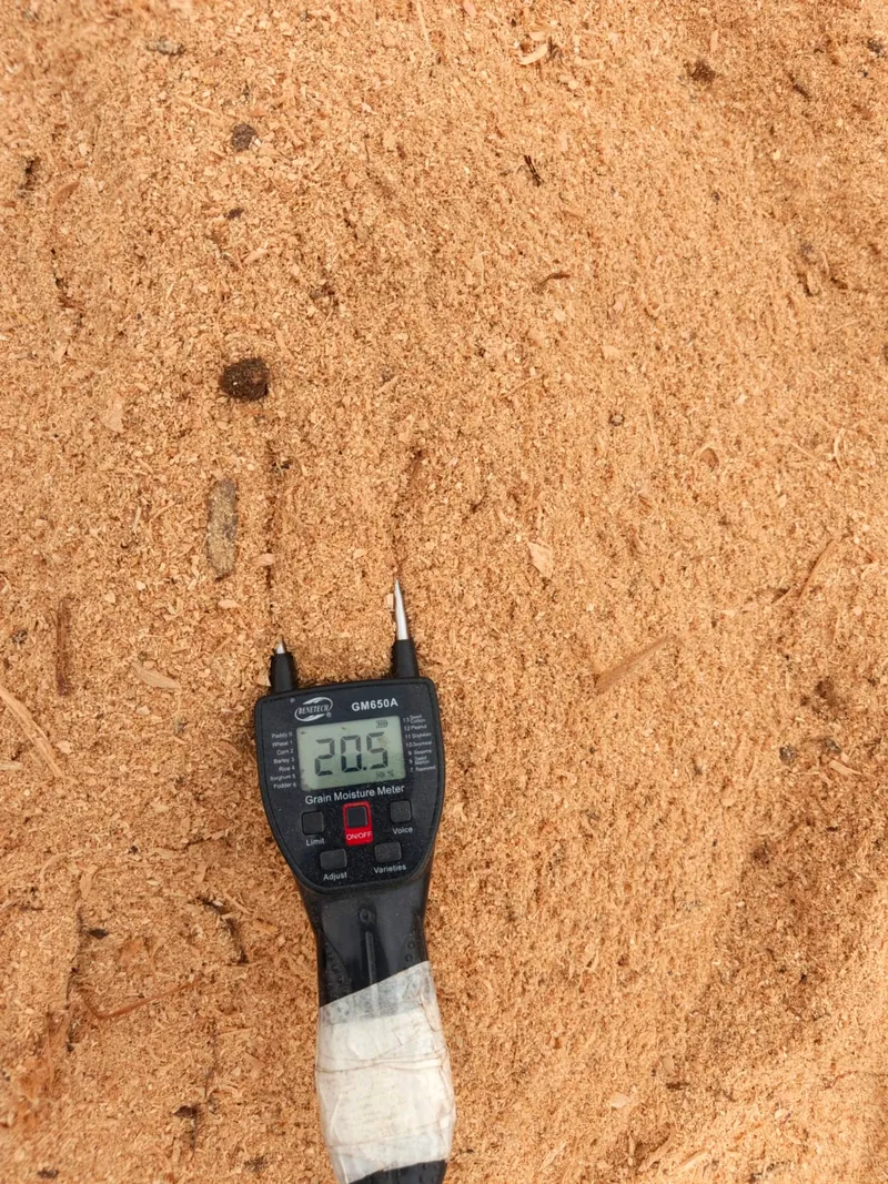 Moisture meter testing a bed of sawdust