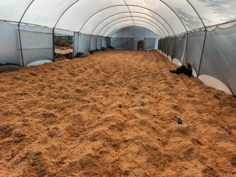 Biomass drying inside a solar tunnel